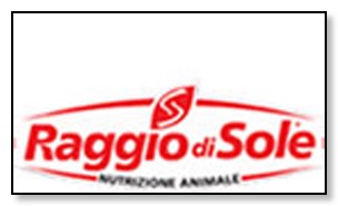 logo-raggiodisole